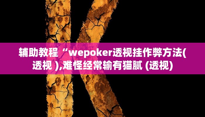辅助教程“wepoker透视挂作弊方法(透视 ),难怪经常输有猫腻 (透视)