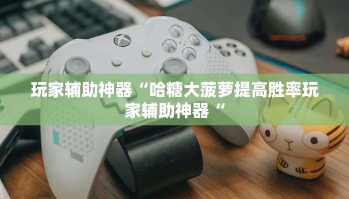 玩家辅助神器“哈糖大菠萝提高胜率玩家辅助神器“