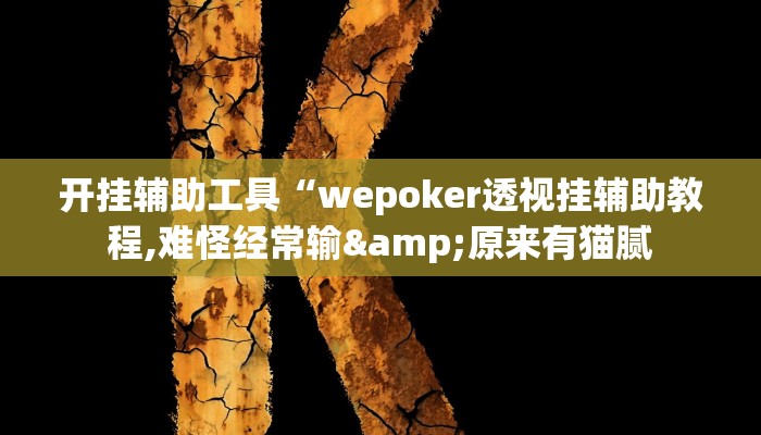 开挂辅助工具“wepoker透视挂辅助教程,难怪经常输&原来有猫腻