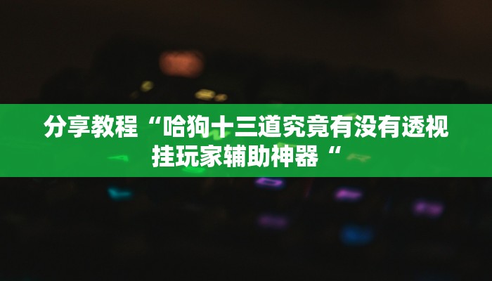 分享教程“哈狗十三道究竟有没有透视挂玩家辅助神器“