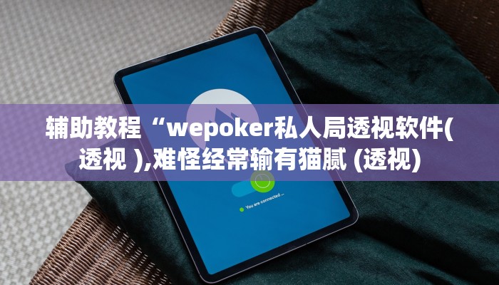 辅助教程“wepoker私人局透视软件(透视 ),难怪经常输有猫腻 (透视)