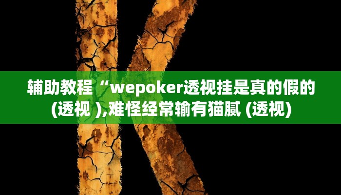 辅助教程“wepoker透视挂是真的假的(透视 ),难怪经常输有猫腻 (透视)