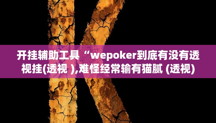 开挂辅助工具“wepoker到底有没有透视挂(透视 ),难怪经常输有猫腻 (透视)