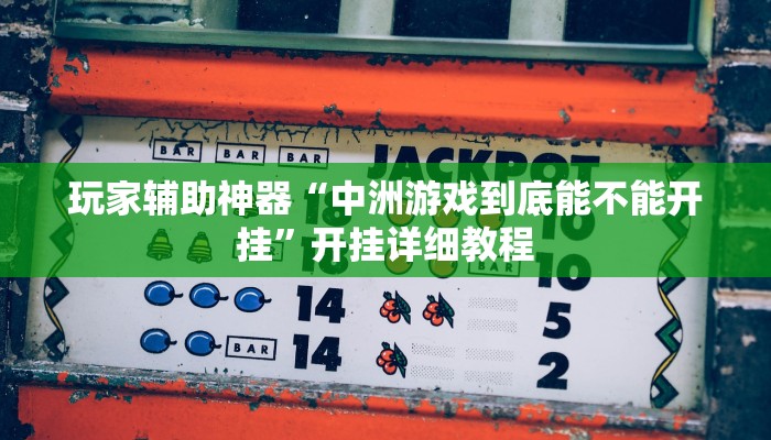 玩家辅助神器“中洲游戏到底能不能开挂”开挂详细教程