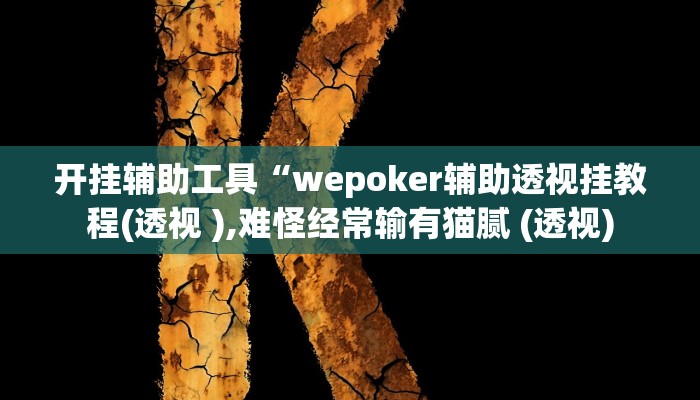 开挂辅助工具“wepoker辅助透视挂教程(透视 ),难怪经常输有猫腻 (透视)