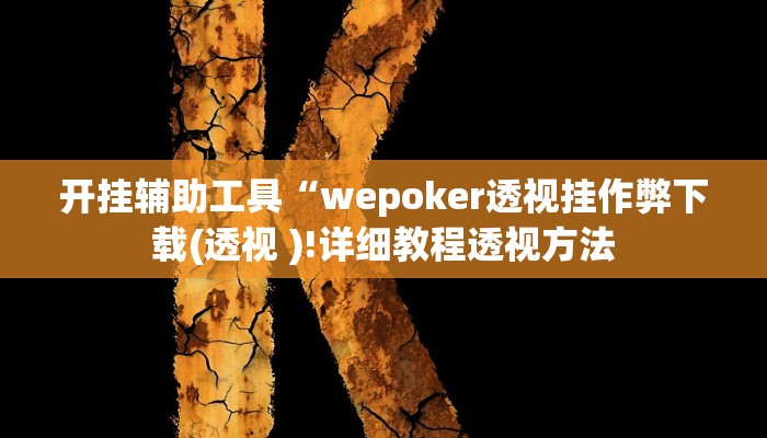 开挂辅助工具“wepoker透视挂作弊下载(透视 )!详细教程透视方法