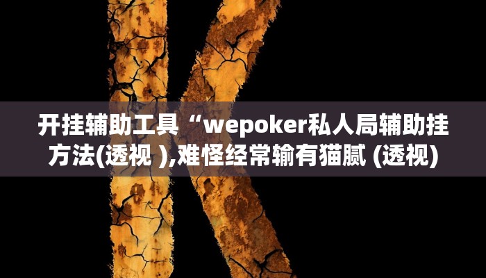 开挂辅助工具“wepoker私人局辅助挂方法(透视 ),难怪经常输有猫腻 (透视)