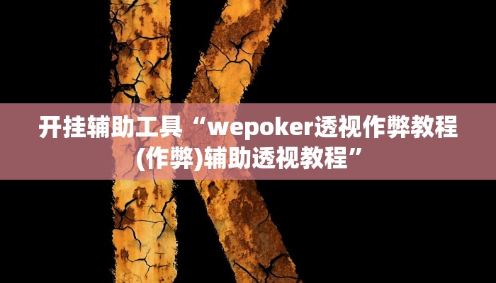 开挂辅助工具“wepoker透视作弊教程(作弊)辅助透视教程”