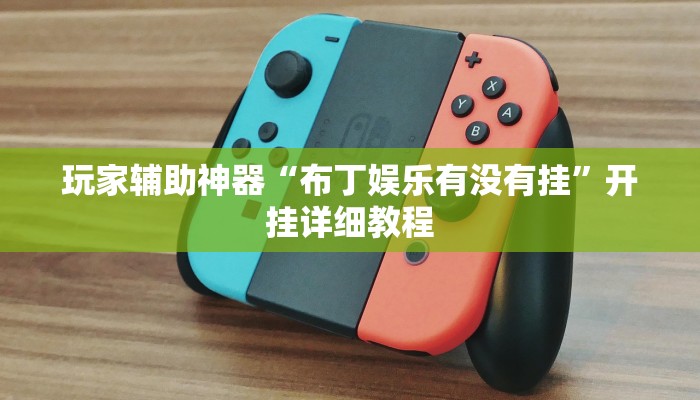 玩家辅助神器“布丁娱乐有没有挂”开挂详细教程