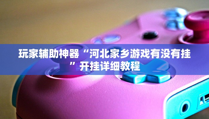 玩家辅助神器“河北家乡游戏有没有挂”开挂详细教程