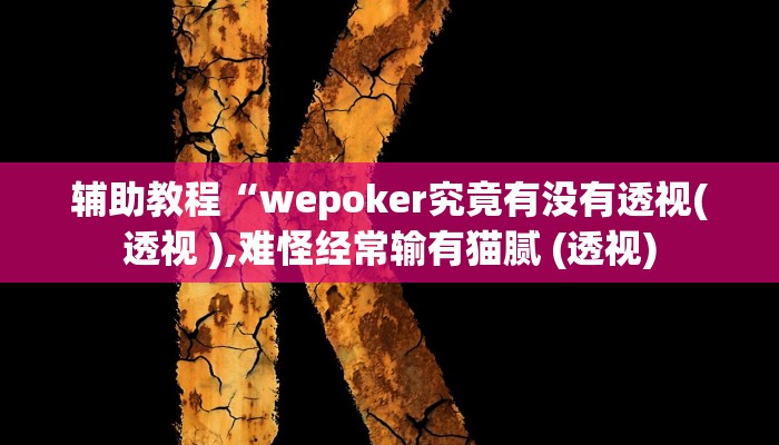 辅助教程“wepoker究竟有没有透视(透视 ),难怪经常输有猫腻 (透视)