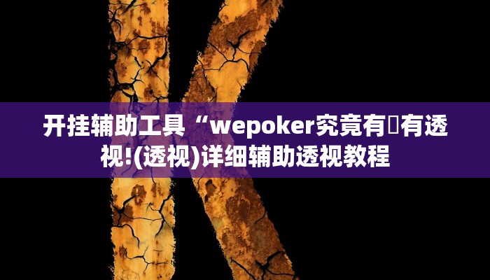 开挂辅助工具“wepoker究竟有沒有透视!(透视)详细辅助透视教程