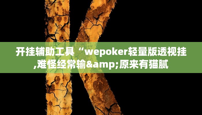 开挂辅助工具“wepoker轻量版透视挂,难怪经常输&原来有猫腻