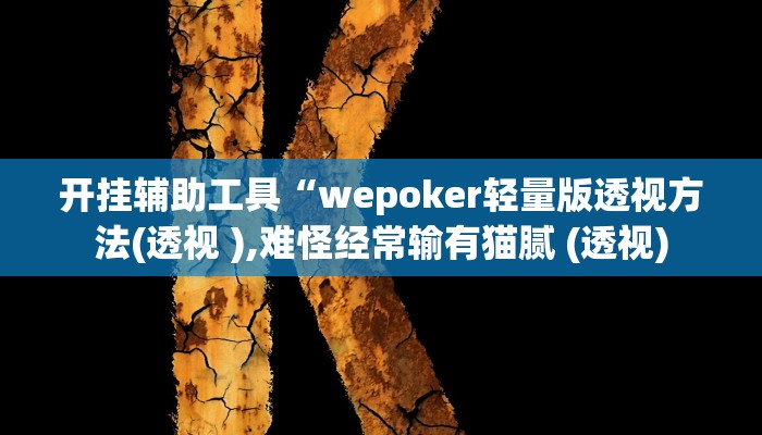 开挂辅助工具“wepoker轻量版透视方法(透视 ),难怪经常输有猫腻 (透视)