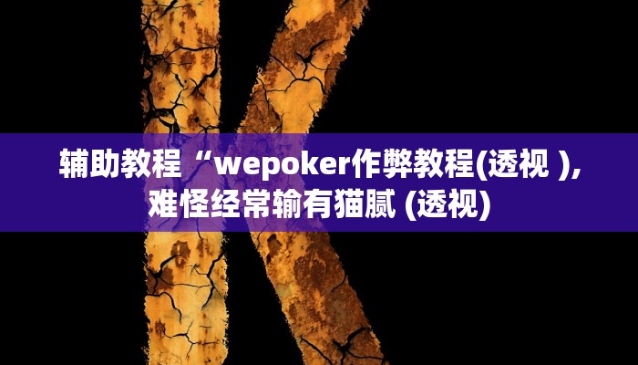 辅助教程“wepoker作弊教程(透视 ),难怪经常输有猫腻 (透视)