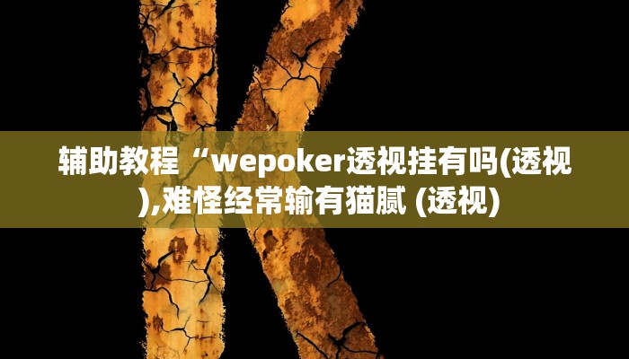 辅助教程“wepoker透视挂有吗(透视 ),难怪经常输有猫腻 (透视)