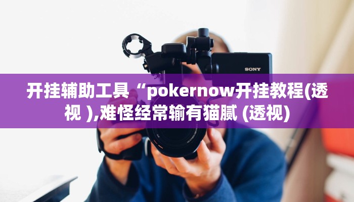 开挂辅助工具“pokernow开挂教程(透视 ),难怪经常输有猫腻 (透视)
