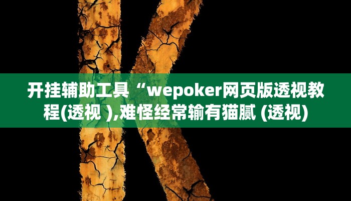 开挂辅助工具“wepoker网页版透视教程(透视 ),难怪经常输有猫腻 (透视)