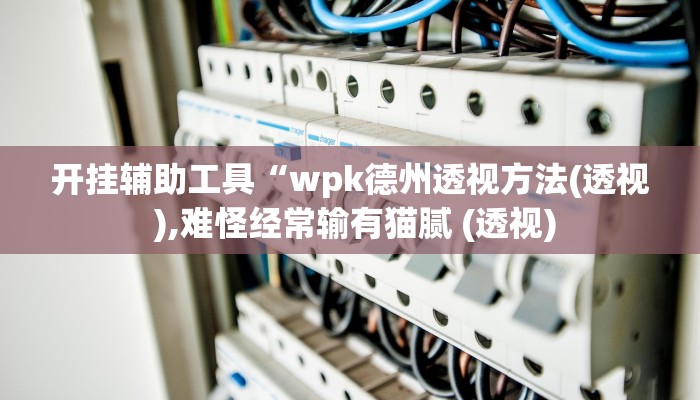 开挂辅助工具“wpk德州透视方法(透视 ),难怪经常输有猫腻 (透视)