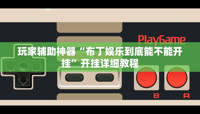 玩家辅助神器“布丁娱乐到底能不能开挂”开挂详细教程